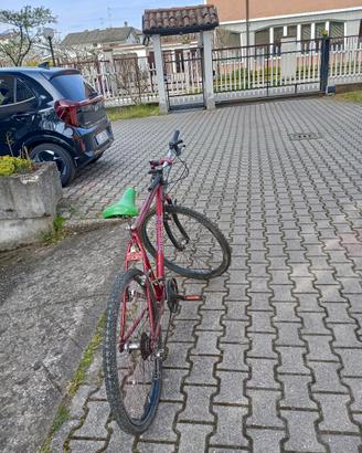 Mountain bike Mountain 