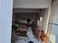 Immagine 22
