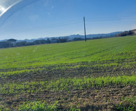 Terreno a monterappoli