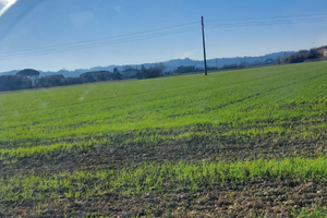 Terreno a monterappoli