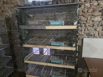 voliere da 120 cm