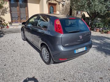 FIAT Punto 1.2 benzina 2016