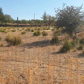 Terreno In Strada Vicinale Kati Risicallà Km 9