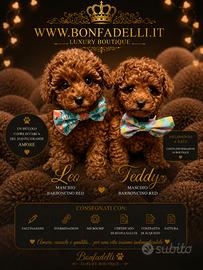 Cuccioli barboncino toy e minitoy