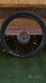 cerchi roval mtb