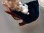 Immagine 4