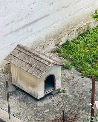 Cuccia cane casetta cemento