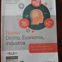 Nuovo diritto economia industria ISBN 978883600802