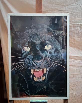 Splendido quadro vintage (50x70 cm)