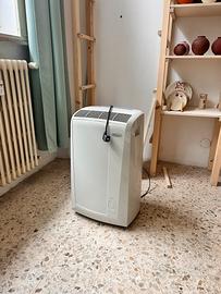 Condizionatore Pinguino De Longhi