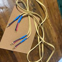 VAN DEN HUL CS 122 HYBRID 2X 2,5 m cavo di potenza