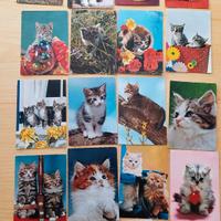 Cartoline con gatti