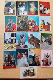 Cartoline con gatti