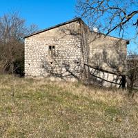 Vendita casa con terreno
