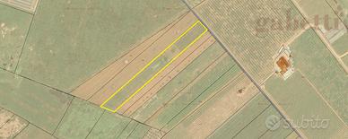 Terreno Agricolo Galatina [X 038VCG]