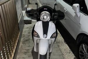 piaggio liberty 50 2 tempi. 
