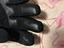 Immagine 5