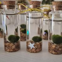 marimo baby 