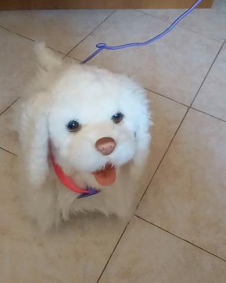 gioco cane furl real