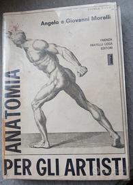 ANATOMIA PER GLI ARTISTI A. G. Morelli, 1968.