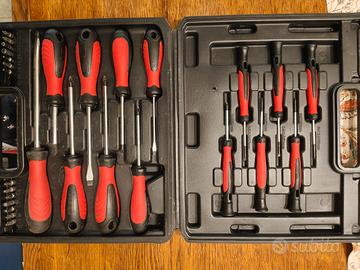 Set cacciaviti Powerfix