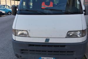 Fiat ducato 9 posti