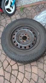 Gomme panda più cerchi 