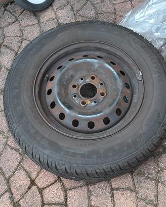 Gomme panda più cerchi 