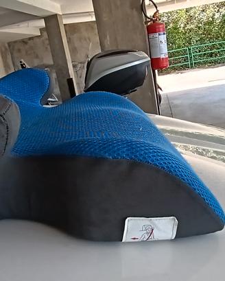 rialzo per auto
