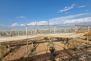 Serra in ferro archi 2 filari