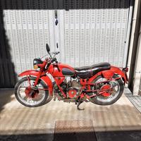 Moto Guzzi Airone Sport - 1956