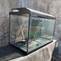 Acquario genius 40