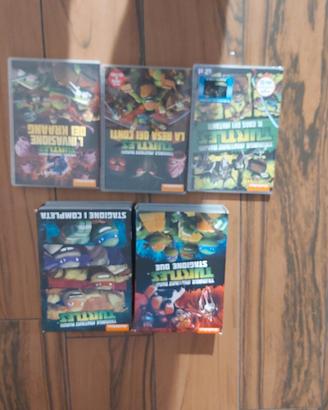 DVD tartarughe ninja