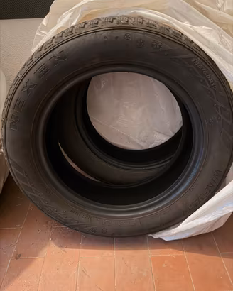 Gomme invernali NEXEN Winguard