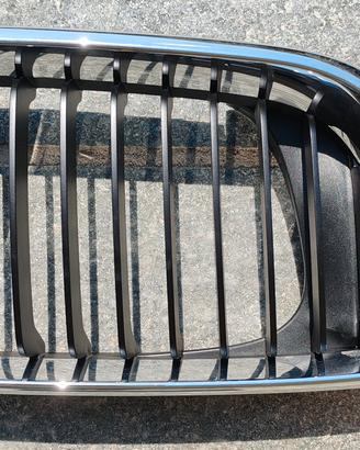 Griglie radiatore BMW 320