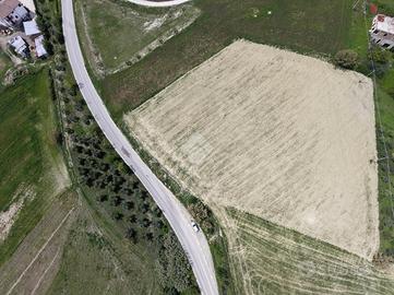 TER. AGRICOLO A BELLANTE