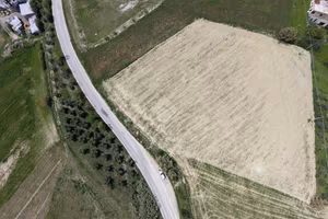 TER. AGRICOLO A BELLANTE