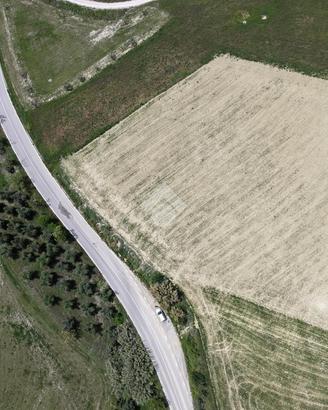 TER. AGRICOLO A BELLANTE