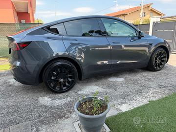 Tesla Model Y Long Range 4x4