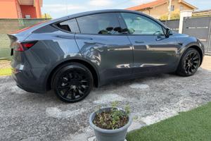 Tesla Model Y Long Range 4x4