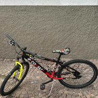Bici junior