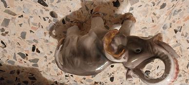 Elefantino porcellana