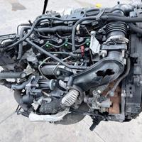 T1DA MOTORE FORD C MAX 1.6 1600 D 85KW 115CV 2011 