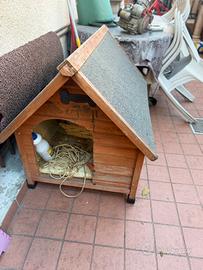 Casetta per cani