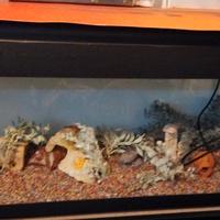 Acquario  120 litri