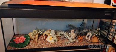 Acquario  120 litri