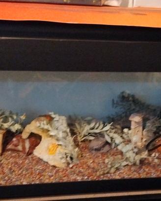 Acquario  120 litri