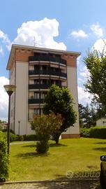 DELIZIOSO MONOLOCALE (Mornera)