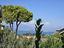 Immagine 13