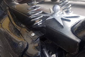 Splendida Shadow vt600 custom